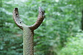 DSC04924 - Bernhard Saalfeld