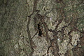 DSC04926 - Bernhard Saalfeld