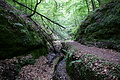 DSC04927 - Bernhard Saalfeld