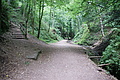 DSC04932 - Bernhard Saalfeld