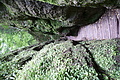 DSC04935 - Bernhard Saalfeld