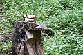 DSC04943 - Bernhard Saalfeld