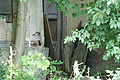 DSC04950 - Bernhard Saalfeld