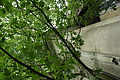 DSC04952 - Bernhard Saalfeld