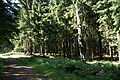 DSC04964 - Bernhard Saalfeld