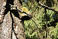 DSC04965 - Bernhard Saalfeld