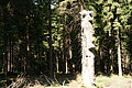 DSC04966 - Bernhard Saalfeld