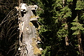 DSC04967 - Bernhard Saalfeld