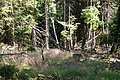 DSC04968 - Bernhard Saalfeld
