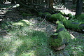 DSC04970 - Bernhard Saalfeld