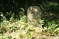 DSC04971 - Bernhard Saalfeld