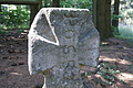 DSC04977 - Bernhard Saalfeld