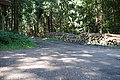 DSC04978 - Bernhard Saalfeld