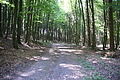 DSC04979 - Bernhard Saalfeld