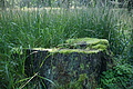 DSC04981 - Bernhard Saalfeld