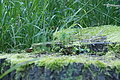 DSC04983 - Bernhard Saalfeld