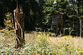 DSC04985 - Bernhard Saalfeld