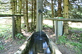 DSC04988 - Bernhard Saalfeld
