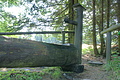 DSC04989 - Bernhard Saalfeld