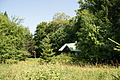 DSC04993 - Bernhard Saalfeld