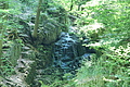 DSC04994 - Bernhard Saalfeld