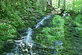DSC04995 - Bernhard Saalfeld