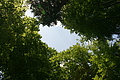 DSC05004 - Bernhard Saalfeld