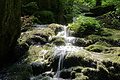 DSC05010 - Bernhard Saalfeld