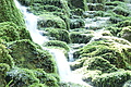 DSC05012 - Bernhard Saalfeld