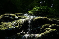 DSC05013 - Bernhard Saalfeld