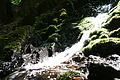 DSC05018 - Bernhard Saalfeld