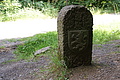 DSC05021 - Bernhard Saalfeld