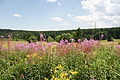 DSC05024 - Bernhard Saalfeld