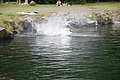 DSC05054 - Bernhard Saalfeld