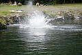 DSC05055 - Bernhard Saalfeld