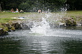 DSC05057 - Bernhard Saalfeld
