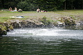 DSC05058 - Bernhard Saalfeld