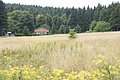 DSC05059 - Bernhard Saalfeld