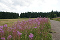 DSC05060 - Bernhard Saalfeld