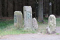 DSC05061 - Bernhard Saalfeld