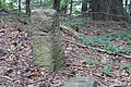 DSC05063 - Bernhard Saalfeld