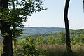 DSC05065 - Bernhard Saalfeld