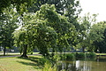 DSC05101 - Bernhard Saalfeld