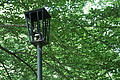 DSC05102 - Bernhard Saalfeld