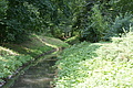 DSC05103 - Bernhard Saalfeld