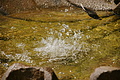 DSC05120 - Bernhard Saalfeld