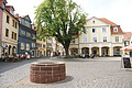 DSC05153 - Bernhard Saalfeld