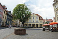 DSC05163 - Bernhard Saalfeld