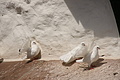 DSC05223 - Bernhard Saalfeld