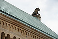 DSC05228 - Bernhard Saalfeld